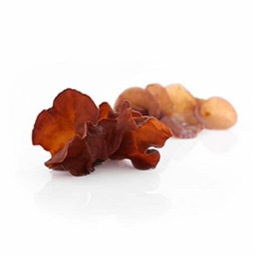 auricularia