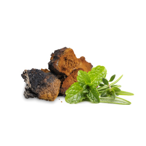 chaga-suen