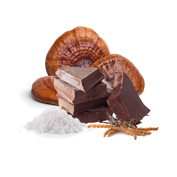 Winterschokolade mit Cordyceps, Reishi einem Salz